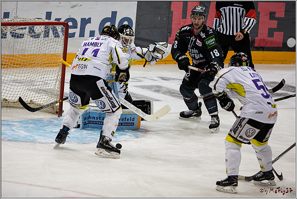 Koelner Haie - Krefelder Pinguine, 22.11.2016